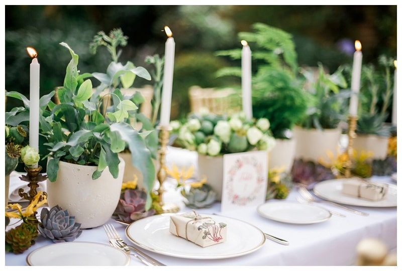 Intip Tips Pesta Pernikahan Hemat dan Go Green!